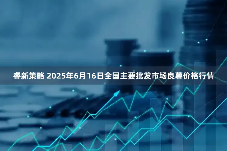 睿新策略 2025年6月16日全国主要批发市场良薯价格行情