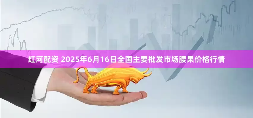 红河配资 2025年6月16日全国主要批发市场腰果价格行情