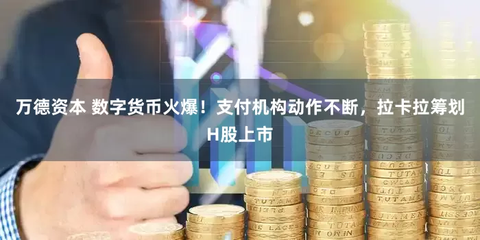 万德资本 数字货币火爆！支付机构动作不断，拉卡拉筹划H股上市