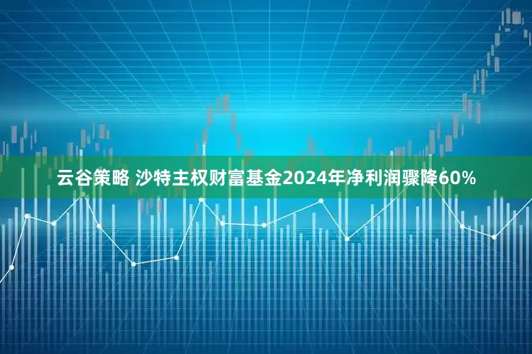云谷策略 沙特主权财富基金2024年净利润骤降60%