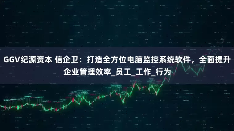 GGV纪源资本 信企卫：打造全方位电脑监控系统软件，全面提升企业管理效率_员工_工作_行为