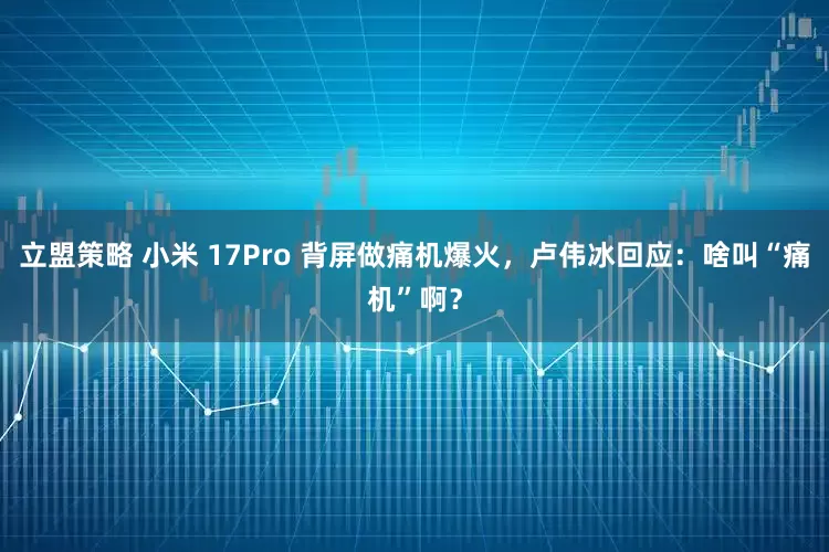 立盟策略 小米 17Pro 背屏做痛机爆火，卢伟冰回应：啥叫“痛机”啊？