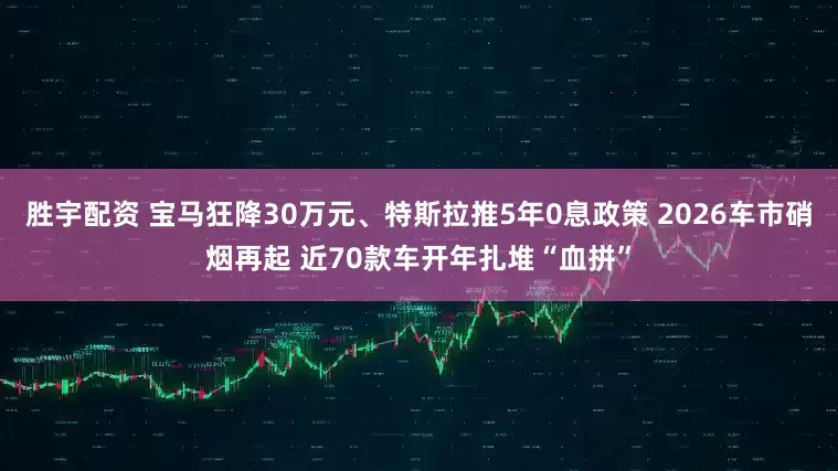 胜宇配资 宝马狂降30万元、特斯拉推5年0息政策 2026车市硝烟再起 近70款车开年扎堆“血拼”