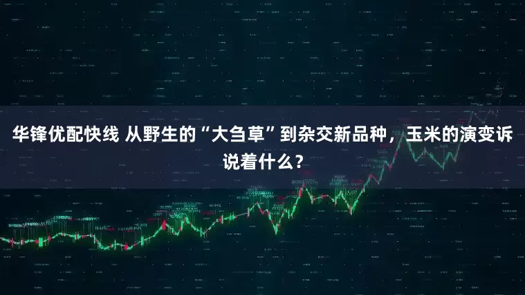 华锋优配快线 从野生的“大刍草”到杂交新品种，玉米的演变诉说着什么？